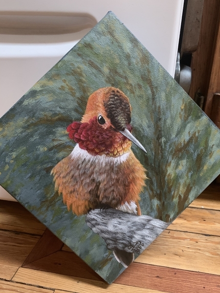 Rufus Hummingbird (2021)